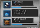 Dragon Quest Monsters : Joker - 19