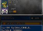 Dragon Quest Monsters Joker 2 - 3
