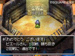 Dragon Quest VI : Realms of Reverie - 15