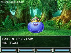 Dragon Quest VI : Realms of Reverie - 8