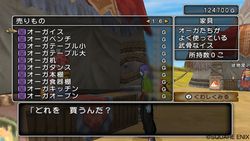 Dragon Quest X - 12