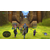 Dragon Quest X en images sur Wii et Wii U