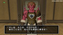 Dragon Quest X - 14