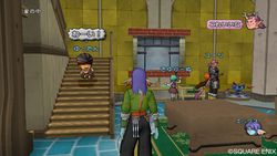 Dragon Quest X - 19