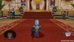 Dragon Quest X - 21