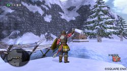 Dragon Quest X - 5