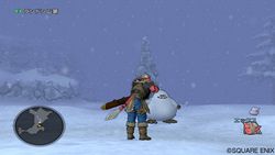 Dragon Quest X - 6