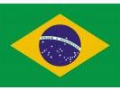 Drapeau Br&eacute;sil (Small)