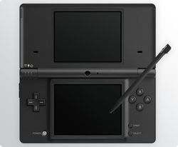 DSi (3)