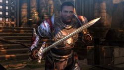 Dungeon Siege 3 - Image 47