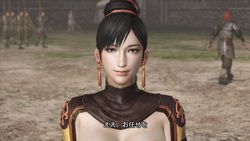Dynasty Warriors 7 - 4