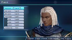Dynasty Warriors Next (14)
