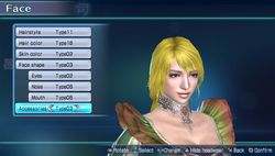 Dynasty Warriors Next (15)