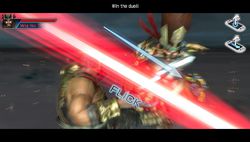 Dynasty Warriors Next (1)