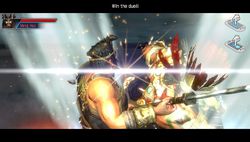 Dynasty Warriors Next (2)