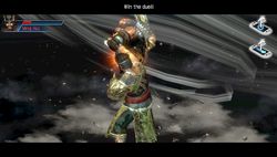 Dynasty Warriors Next (3)