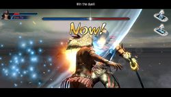 Dynasty Warriors Next (8)