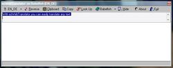 Easy Web Translator screen 2