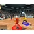 Empire of sports : site officiel et beta