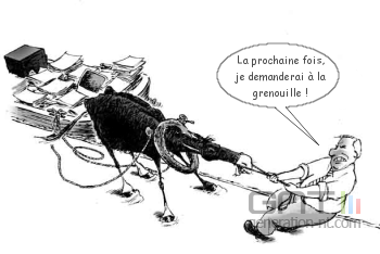 Emule tete mule Emule tete mule