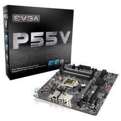 EVGA P55V