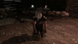 Fable III - 26