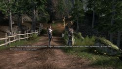 Fable III - 30
