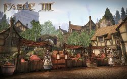 Fable III PC - Image 26