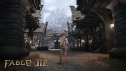 Fable III PC - Image 27