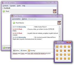 Facebook Chat for Pidgin screen