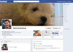 Facebook-Journal