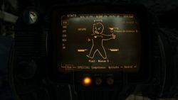 Fallout New Vegas - 21