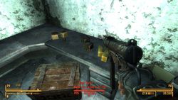 Fallout New Vegas - 22