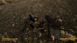 Fallout New Vegas - 23