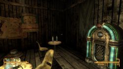 Fallout New Vegas - 24