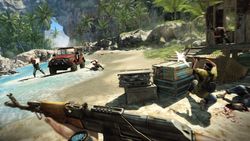 Far Cry 3 - 2