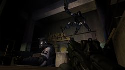Fear files
