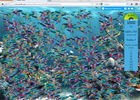 ff701fish