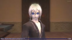 final_fantasy_XI_0000002