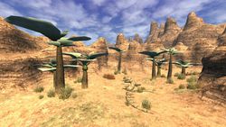 final_fantasy_XI_0000014