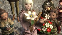 Final Fantasy XIV - 31