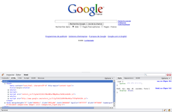 Firebug_Google