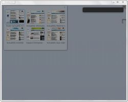Firefox-4b7-panorama