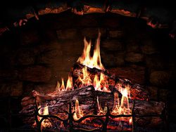 Fireplace screen 1