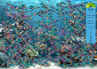 fishie9