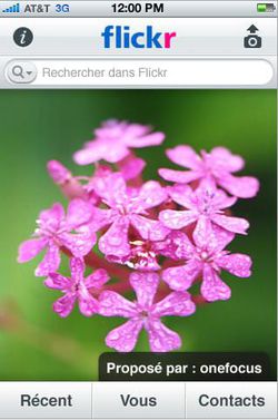 Flickr iPhone Yahoo