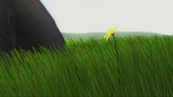 flower psn (1)