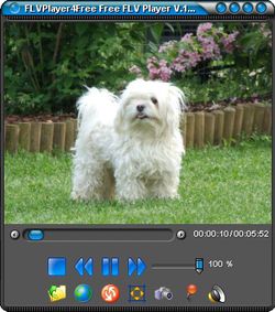 FLV4PlayerFree