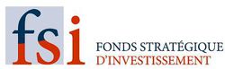FSI logo