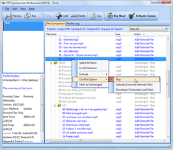 FTP Synchronizer screen